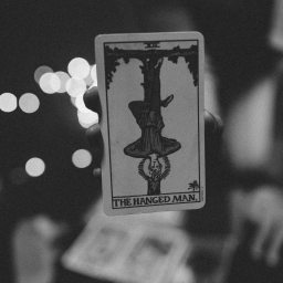 Another Kind of Splendor