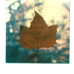 I Had An Abortion. This is Why.