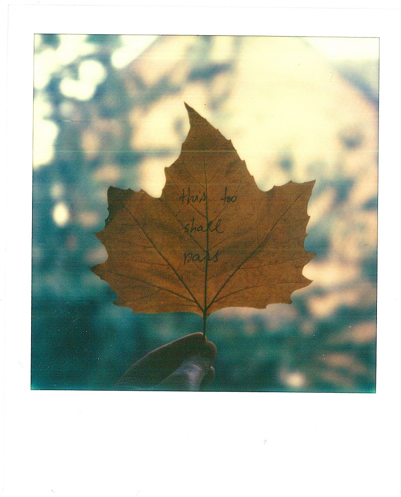 this-too-shall-pass smaller