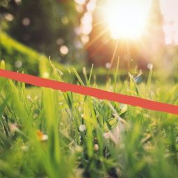 Spring in Uncertain Times