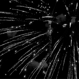 Celebrating One Year