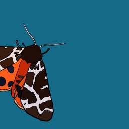 The Hidden World of Animal Sounds