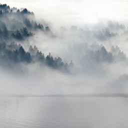 Let’s Talk About Mental Health