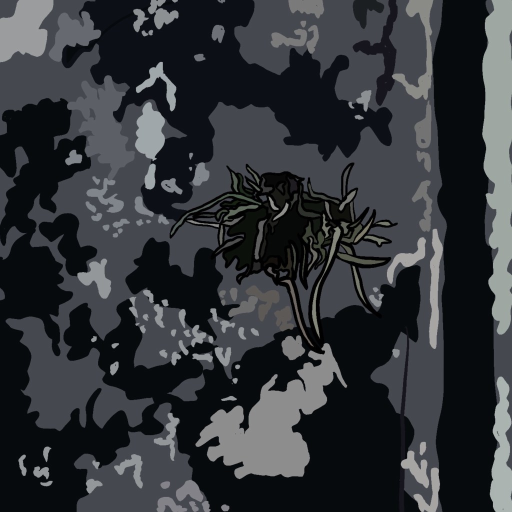 A drawing of moss and grass plugged into a shallow hole in an ancient wall.