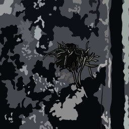 Romance is Dead, Long Live Romance