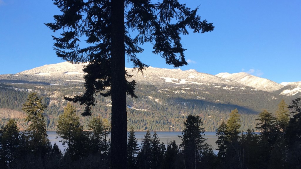 The silhouette of a tree against a sunlit lake and snow-capped mountains.